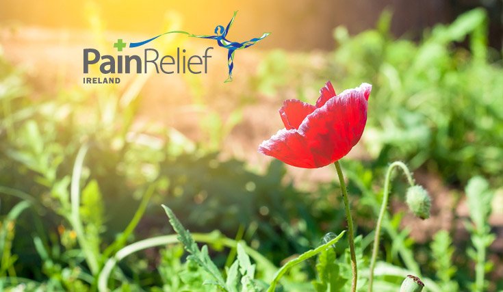 Effective Opioid Management of Chronic Pain in Primary Care